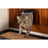 Sure PetCare SureFlap- Brown Microchip Cat Flap