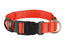 Trixie Collar  Con Luz Naranja Xl 55-70Cm