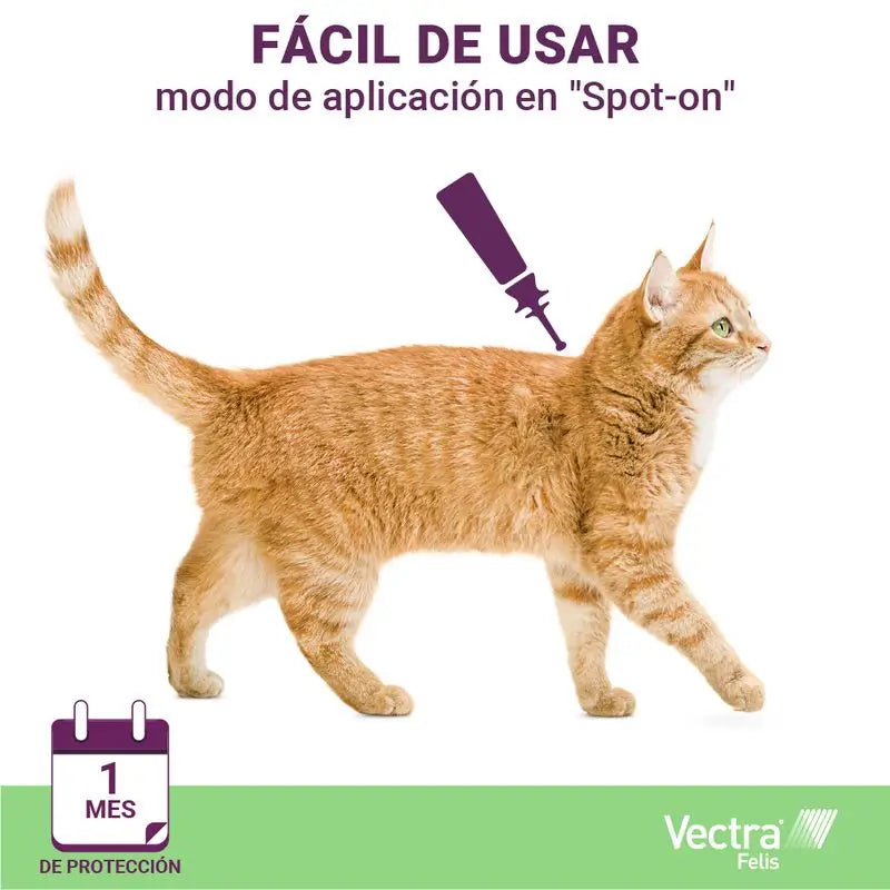 Vectra Felis 3Pip