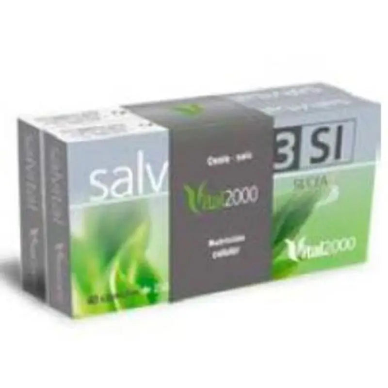 Vital 2000 Pack Salvital Sales Nº6 Y Nº11