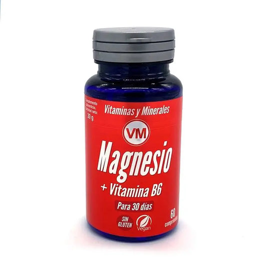 Ynsadiet Magnesium + Vit. B6 60Comp.