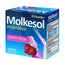 Ynsadiet Molkesol Enzimatico Fresa , 30 sobres