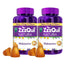 ZzzQuil Natura Banana, Mango and Valerian Gummy, 2 x 60 gummies